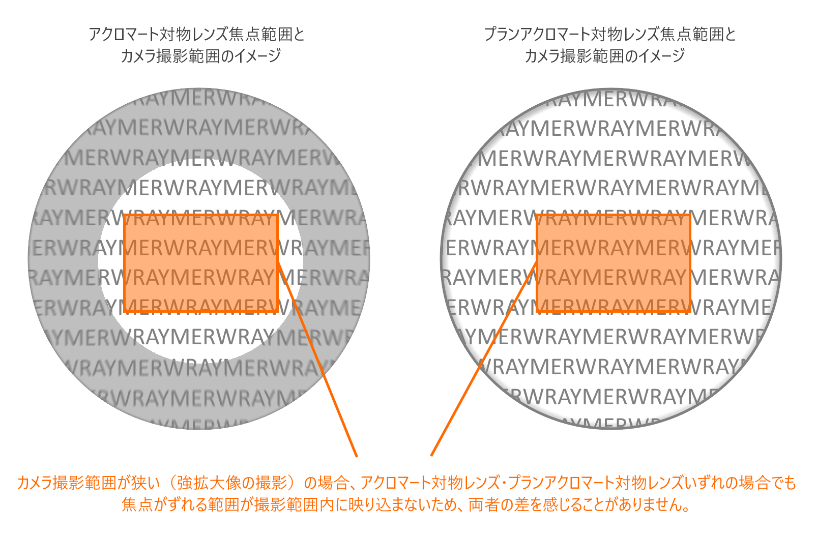 アクロマート対物レンズ・プランアクロマート対物レンズの違い | WRAYMER顕微鏡 テクニカルサポート